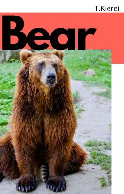 Bear-(mxm rever series 2)