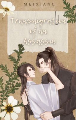 Transmigration Of An Assassin