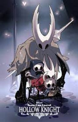Hollow knight x Male reader