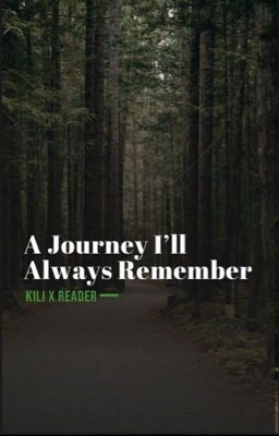 A Journey I'll Always Remember (Kili x Reader)