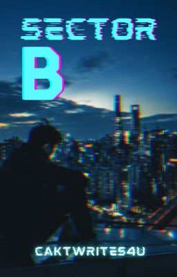 Sector B