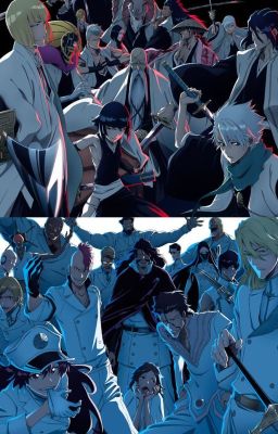 Bleach - The Grim Reaper (Male Reader Insert) [Book 1]
